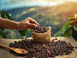 Understanding Specialty Coffee Beans: What Makes Them Special?